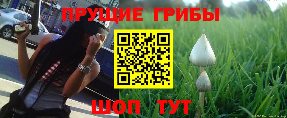 Галлюциногенные грибы мухоморы Мурманск
