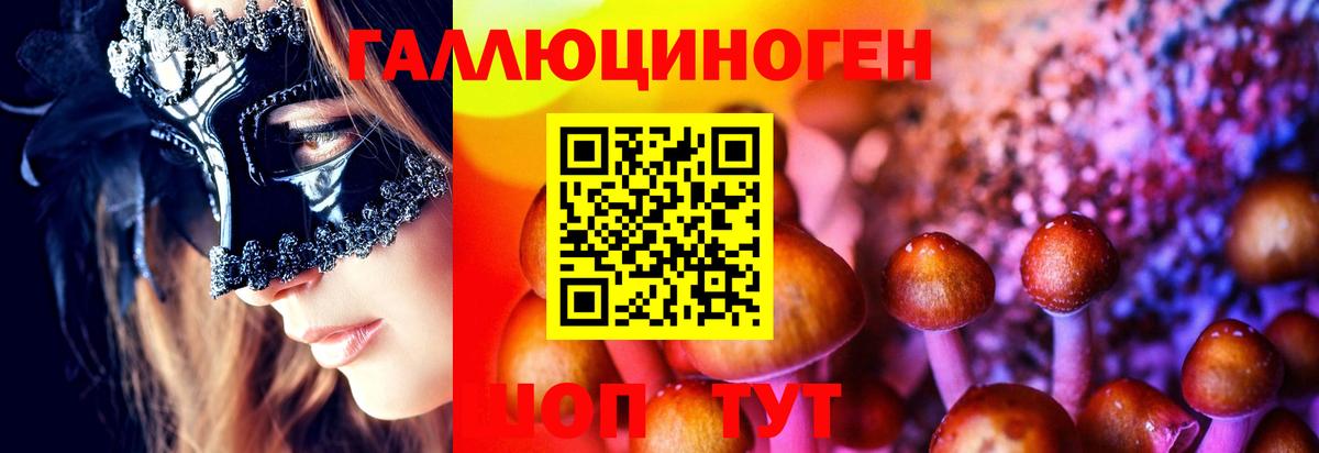 Галлюциногенные грибы Psilocybe  Вход с VPN  Мурманск 